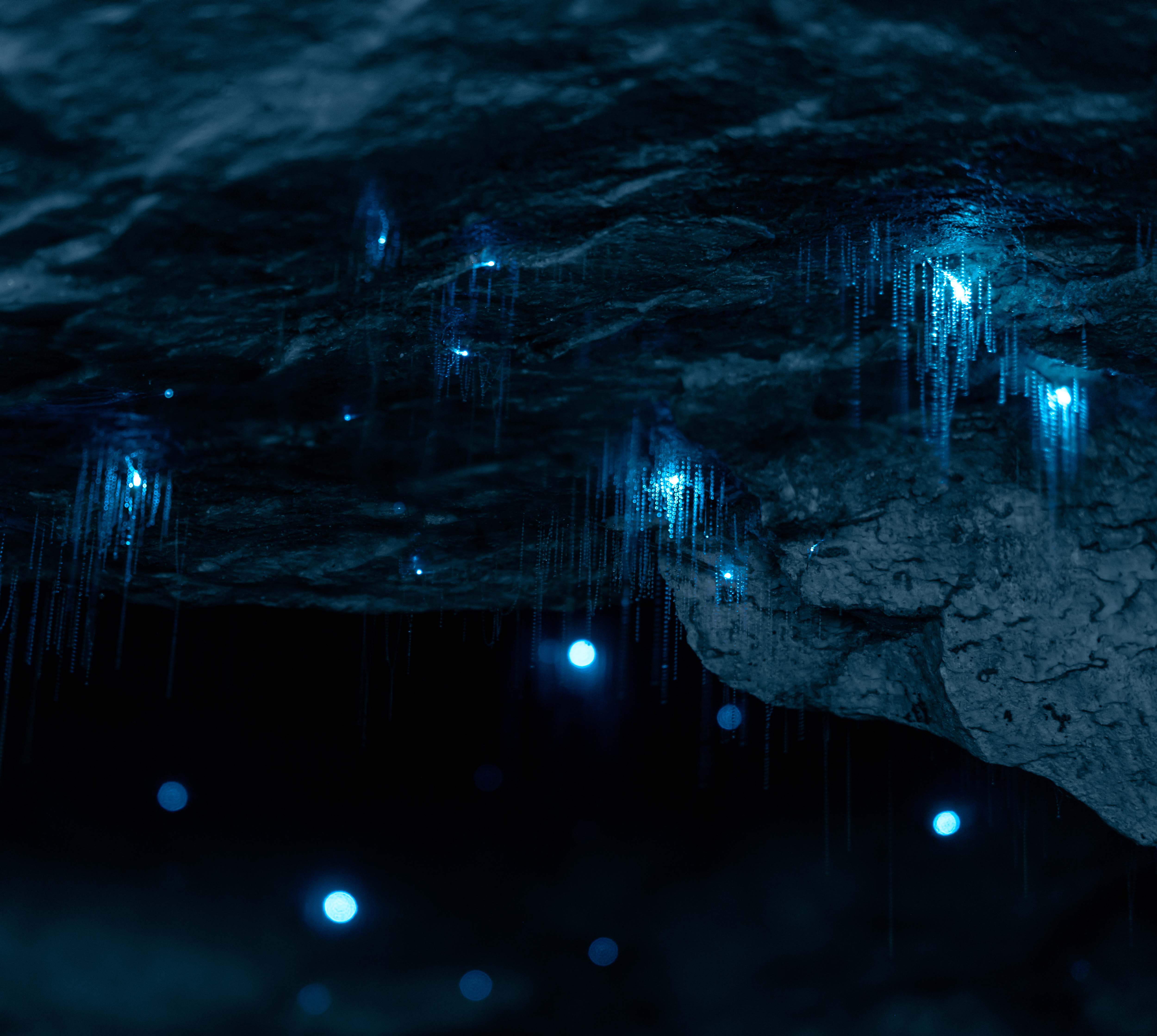 蒂阿納螢火蟲洞 Te Anau Glowworm Caves